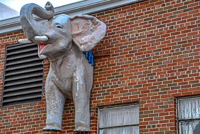 2026-04 Pink Elephant mall by Travels with Randy 4