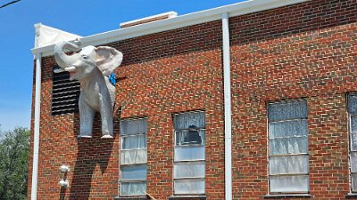 2026-06-23 Livingston - Pink Elephant antique mall (11)