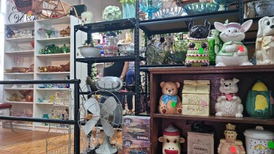 2026-06-23 Livingston - Pink Elephant antique mall (4)