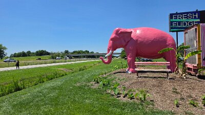 2026-06-23 Livingston - Pink Elephant antique mall (8)