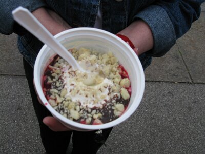 2009 Ted Drewes (10)