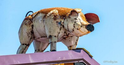 2021-04 Missouri Hick Bar-B-Que 2