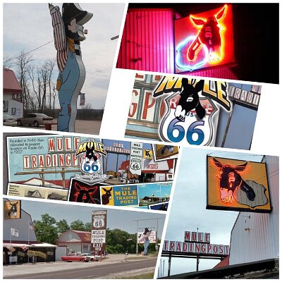 201x Mule Trading Post (1)