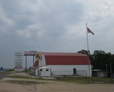 2023-06 Rolla - Mule trading post by Randy Marco 2