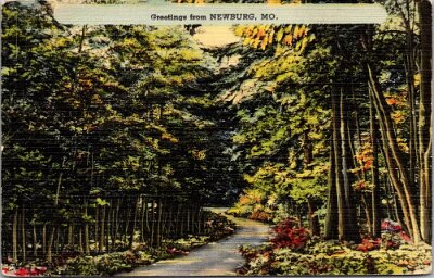 19xx Newburg (4)