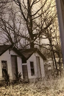 1981 Johns modern cabins 2