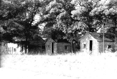 1993 John's modern cabins (2)