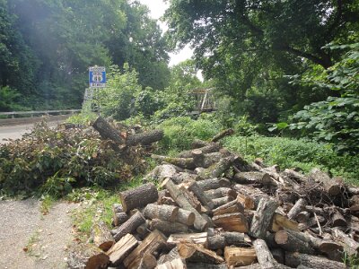 2010 Devil's Elbow (1)