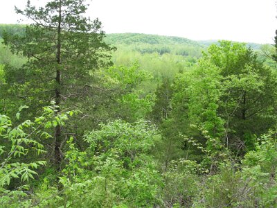 2009 Devil's Elbow (5)