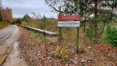 2021-10 Devil's Elbow2