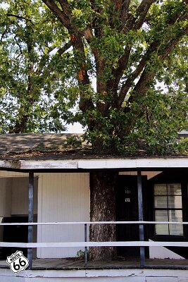 2019-07 St. Robert - Alpine Haus (5)