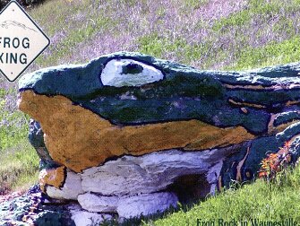 The frog