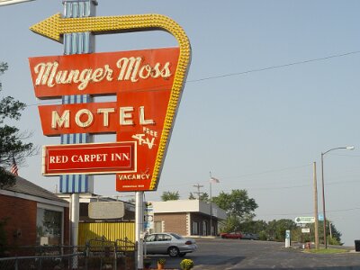 1994 Munger Moss by Hans de Vente (3)