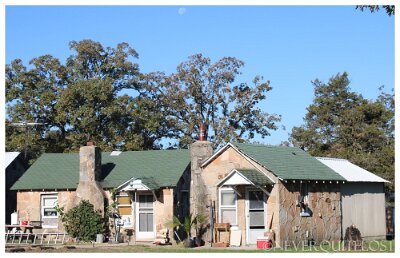 2019 Lebanon - Four Acre Court 2