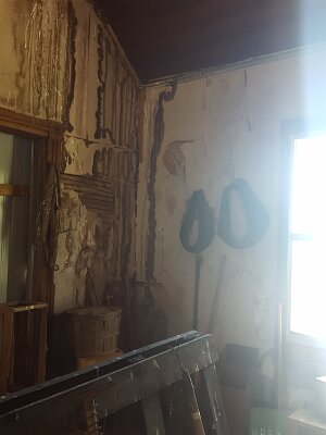 2016-09-06 Whitehall Mercantile (5) IICSA   II