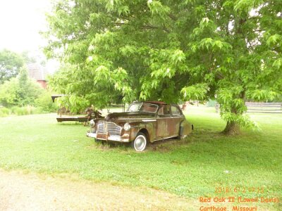 2018-06 Red Oak II (11)
