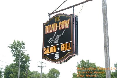 2020 Carterville - The Dead cow