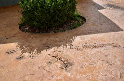 2021 Chandler - On the sidewalk in front of Chandler Outreach Clinic (1116 Manvel Ave) by Mariko Kusakabe 2