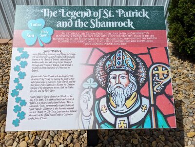 2024-05 Shamrock by Bryce Sparman (6)