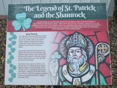 2025 Shamrock by Randy Marco 5