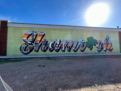 2024-10 Shamrock by Margarete Smith 8