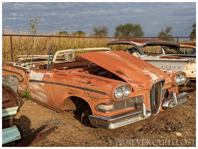 2023 Shamrock - Edsel graveyard by Blue Miller