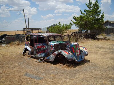 2011-08 Conway - Bug Ranch (2)