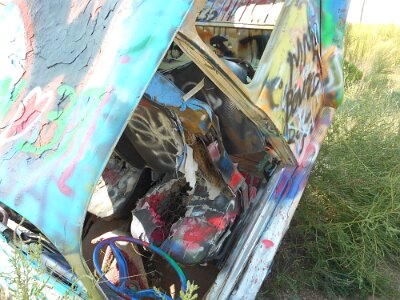 2015-09-04 Conway - Bug Ranch (11)