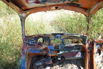 2015-09-04 Conway - Bug Ranch (12)