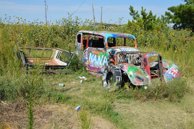 2015-09-04 Conway - Bug Ranch (14)