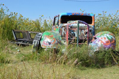 2015-09-04 Conway - Bug Ranch (15)
