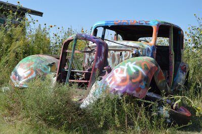 2015-09-04 Conway - Bug Ranch (17)