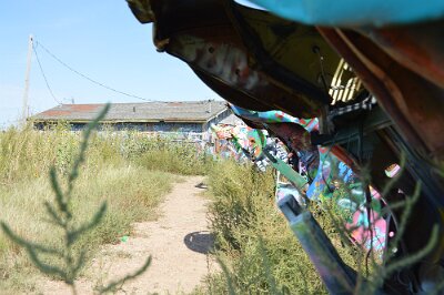 2015-09-04 Conway - Bug Ranch (23)