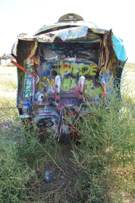 2015-09-04 Conway - Bug Ranch (24)