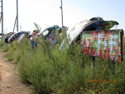 2015-09-04 Conway - Bug Ranch (4)