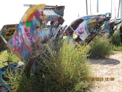 2015-09-04 Conway - Bug Ranch (5)