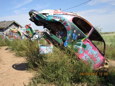 2015-09-04 Conway - Bug Ranch (6)