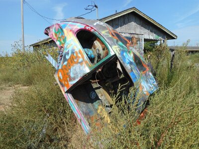 2015-09-04 Conway - Bug Ranch (9)
