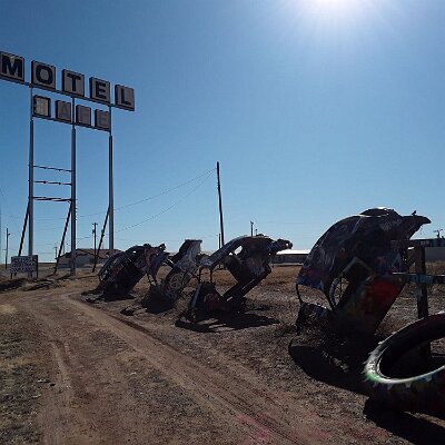 2019-12 Bug Ranch