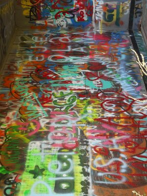 2014-08-29 Conway - Bug Ranch (11)