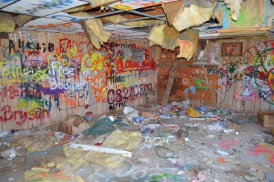 2014-08-29 Conway - Bug Ranch (19)