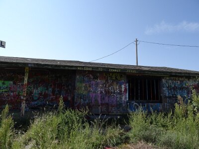 2014-08-29 Conway - Bug Ranch (28)