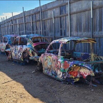 2024-04 Bug Ranch bugs