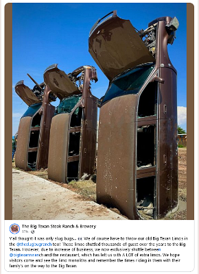 2024-05 New Bug Ranch (2)