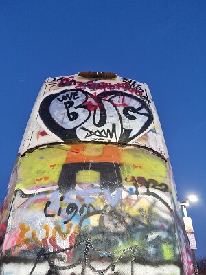 2026-03-18 Amarillo - The new Bug Ranch (10)