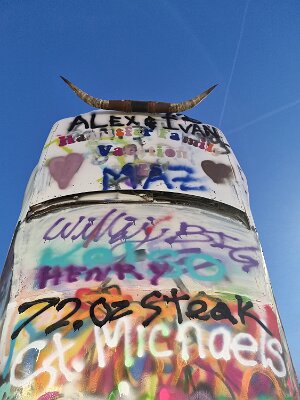 2026-03-18 Amarillo - The new Bug Ranch (12)