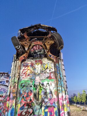 2026-03-18 Amarillo - The new Bug Ranch (14)