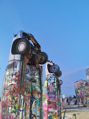 2026-03-18 Amarillo - The new Bug Ranch (16)