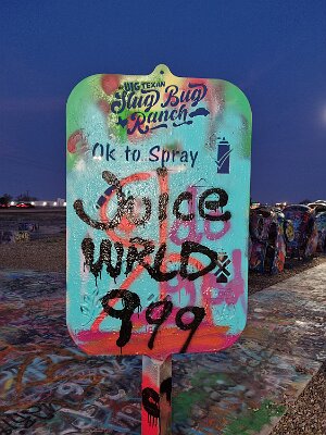 2026-03-18 Amarillo - The new Bug Ranch (5)