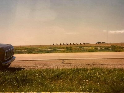 1989 Cadillac Ranch by John Linda Humphrey 1